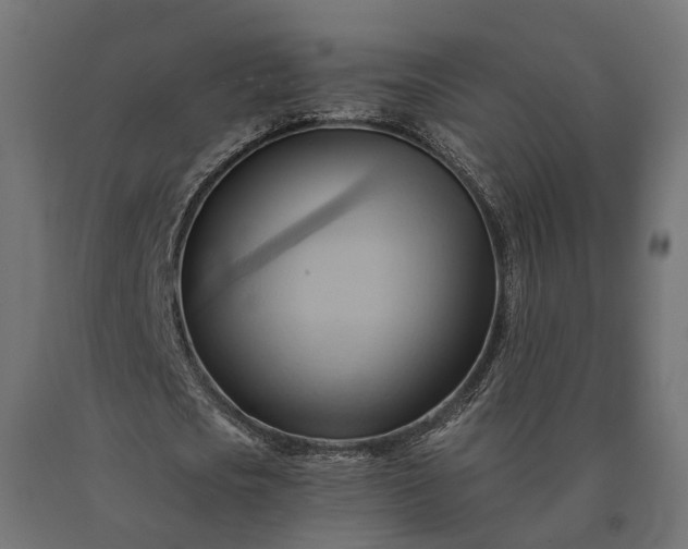 X0000090780721200708031714