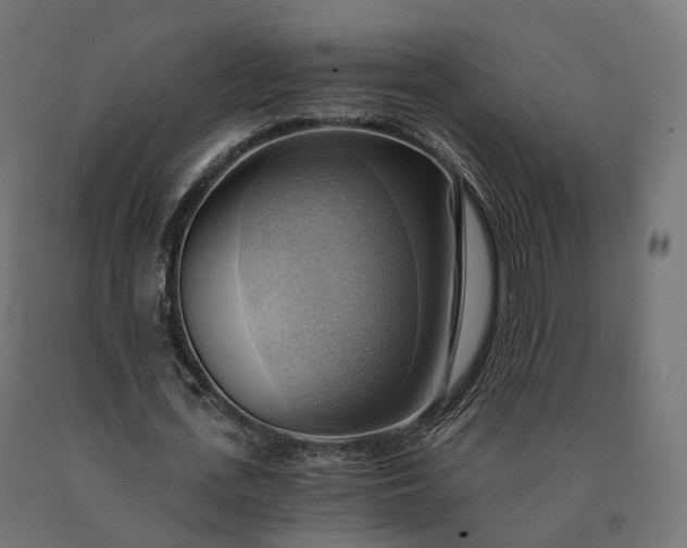 X0000090780723200708031714