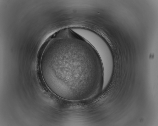 X0000090780724200708031714
