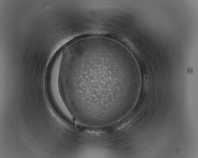 X0000090780726200708031714