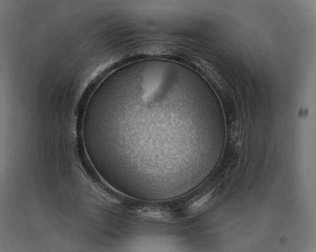 X0000090780727200708031714