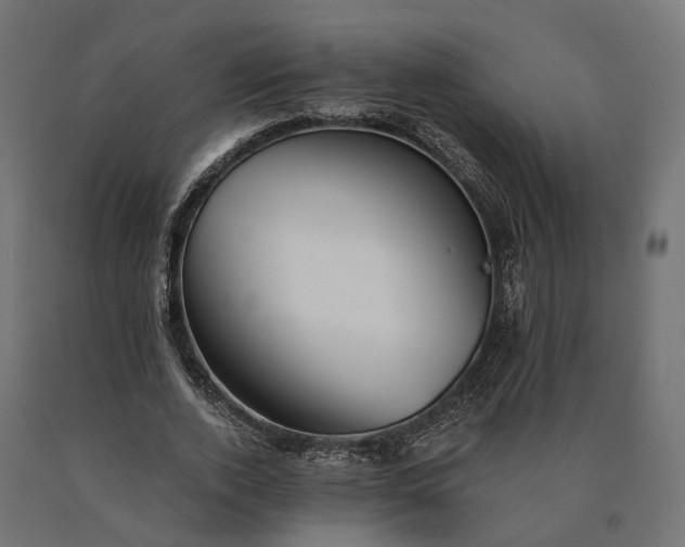X0000090780728200708031714