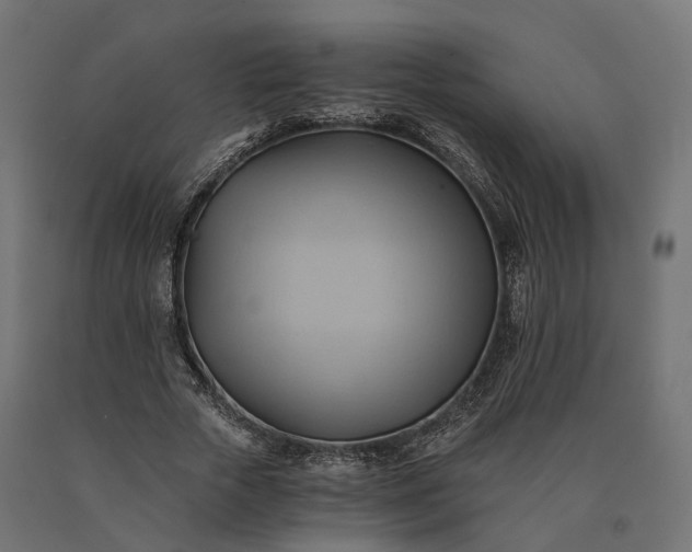X0000090780729200708031714