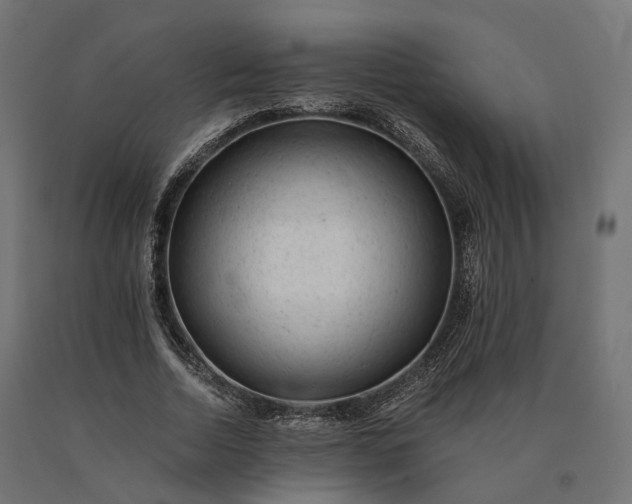 X0000090780730200708031714
