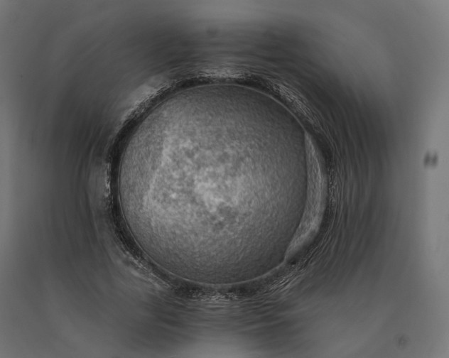 X0000090780731200708031714