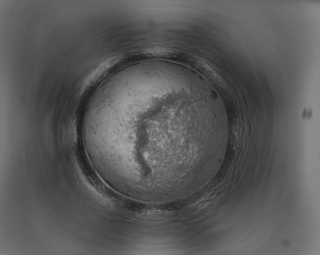 X0000090780734200708031714