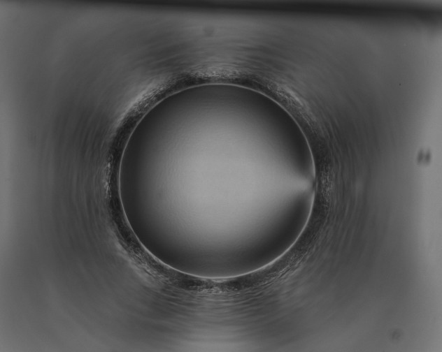 X0000090780735200708031714