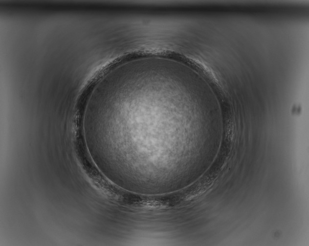 X0000090780736200708031714