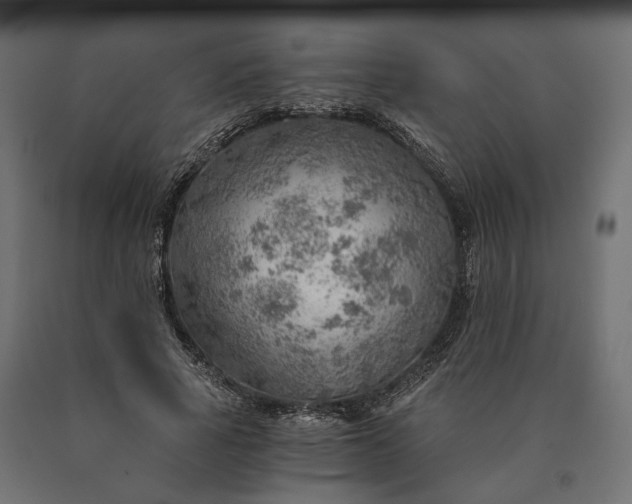 X0000090780737200708031714