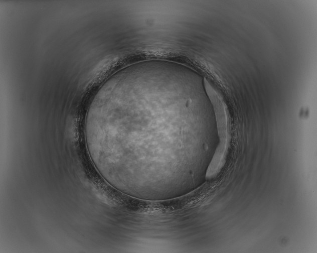 X0000090780738200708031714
