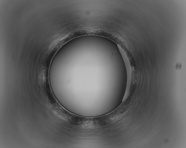 X0000090780740200708031714