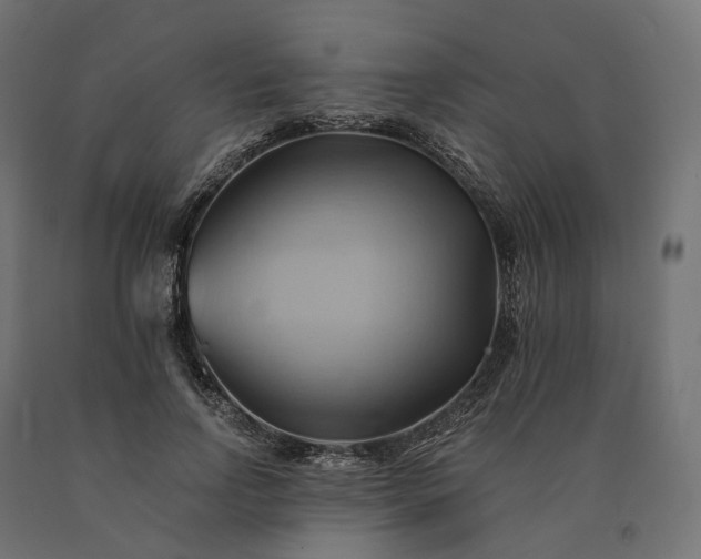 X0000090780742200708031714