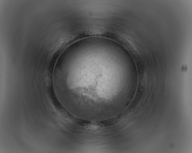 X0000090780743200708031714