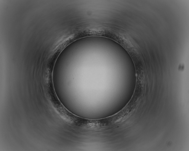 X0000090780744200708031714