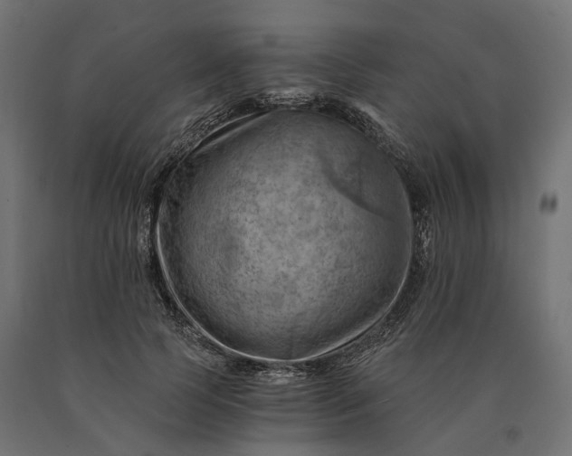 X0000090780745200708031714