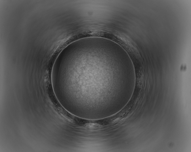 X0000090780748200708031714