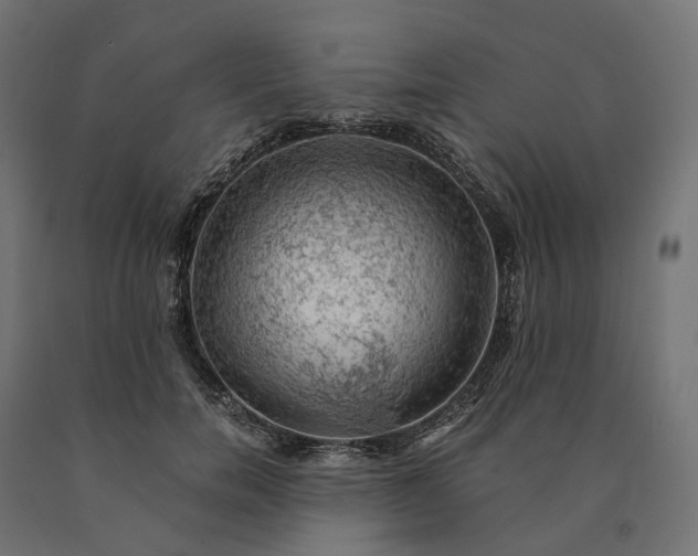 X0000090780750200708031714