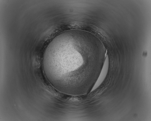 X0000090780751200708031714
