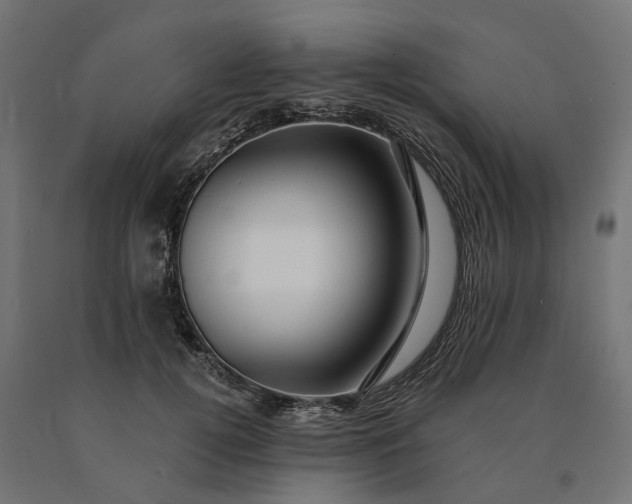 X0000090780752200708031714