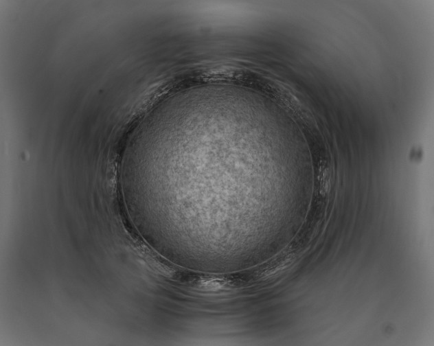 X0000090780753200708031714