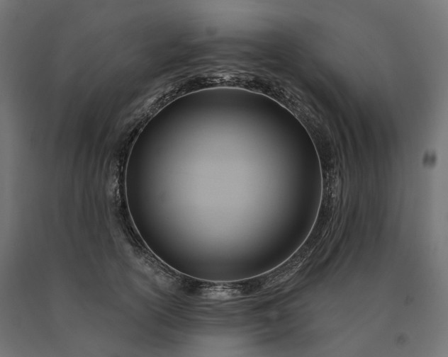 X0000090780754200708031714