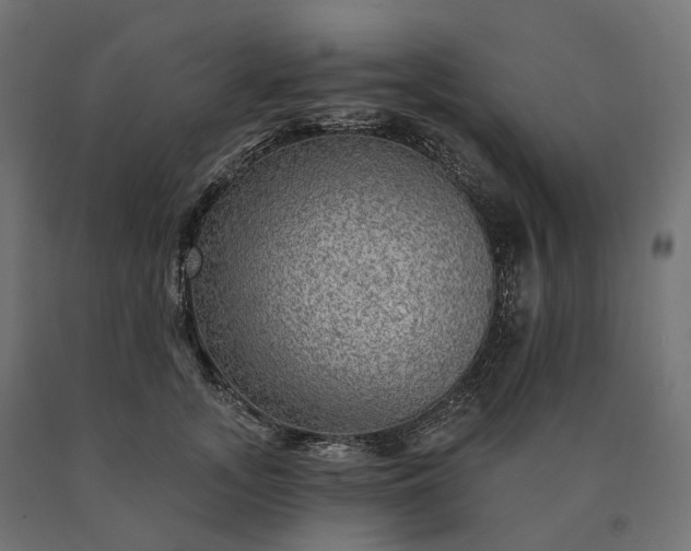 X0000090780755200708031714