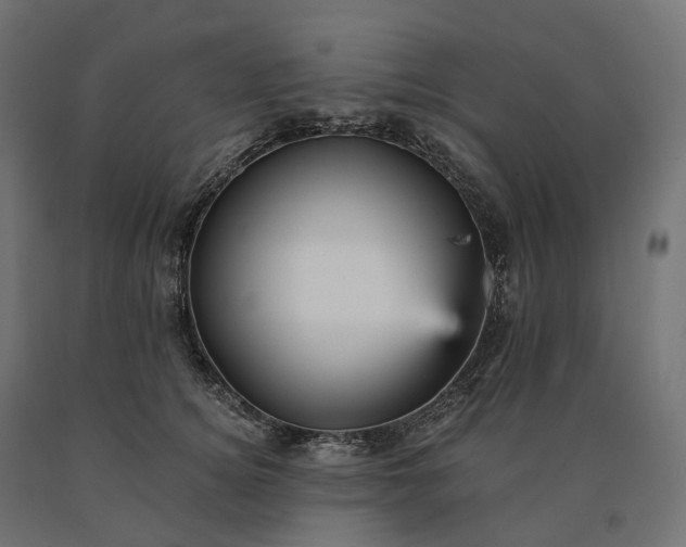 X0000090780756200708031714