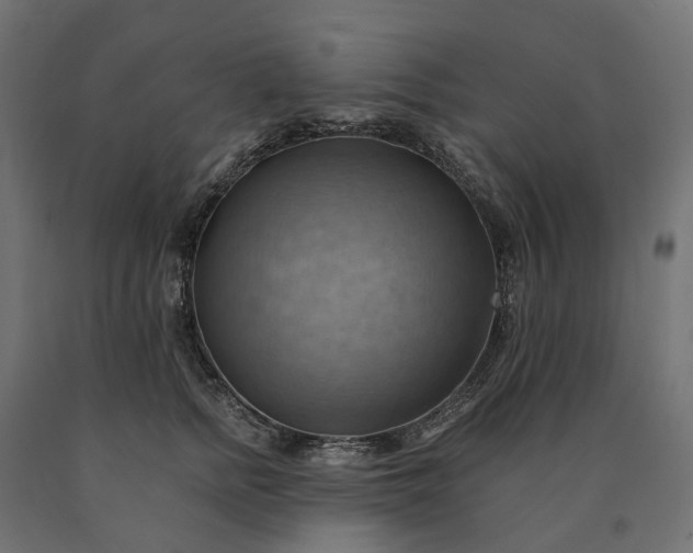 X0000090780758200708031714