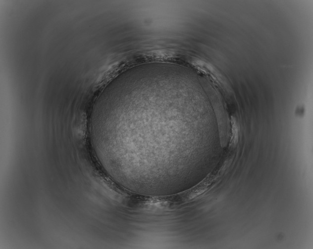 X0000090780760200708031714
