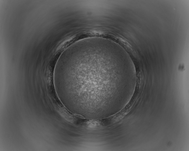 X0000090780762200708031714