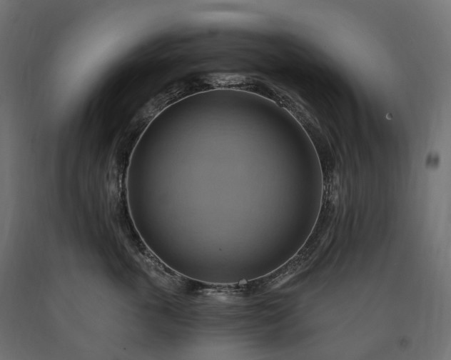 X0000090780763200708031714