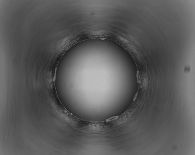 X0000090780764200708031714