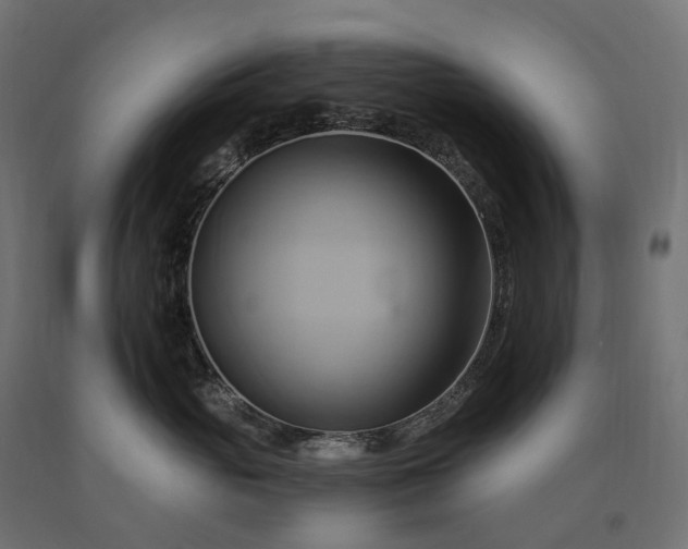 X0000090780765200708031715