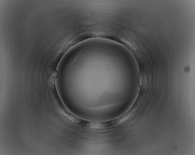 X0000090780766200708031715