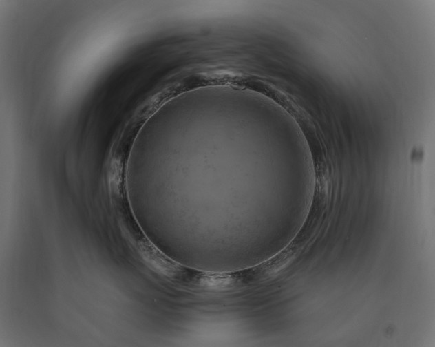 X0000090780767200708031715