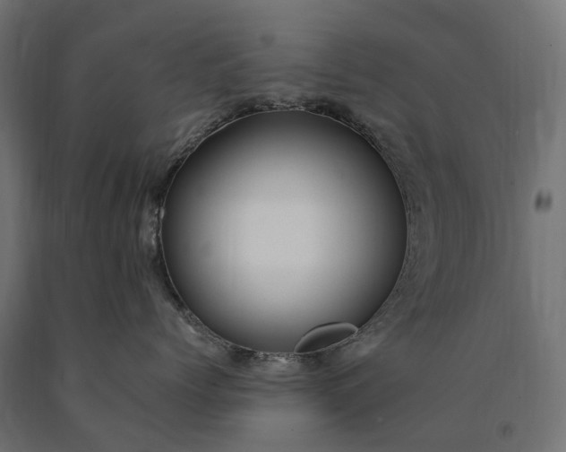 X0000090780768200708031715