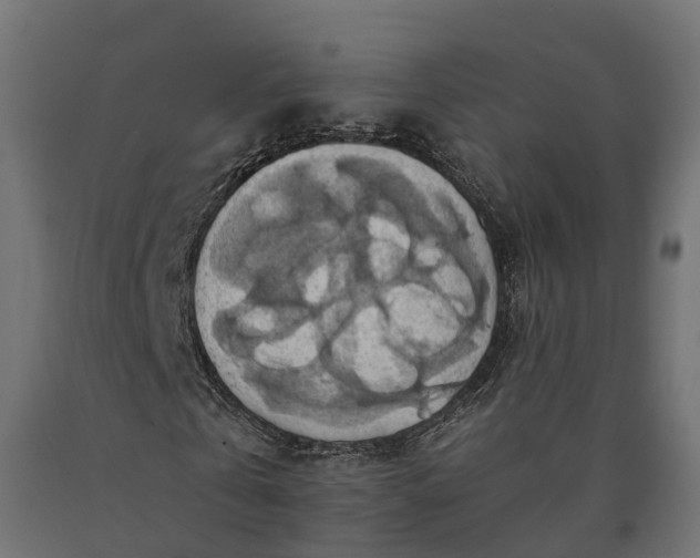 X0000090780769200708031714