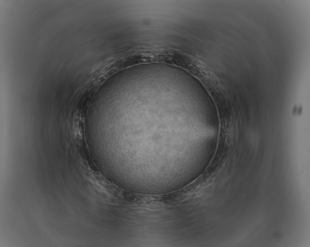 X0000090780770200708031714