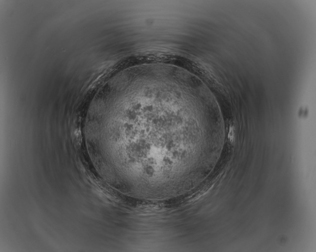 X0000090780771200708031714
