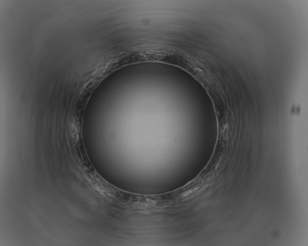 X0000090780772200708031714