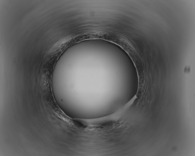 X0000090780773200708031714