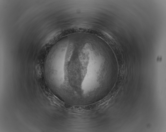 X0000090780774200708031714