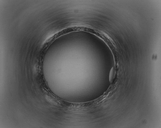 X0000090780775200708031714