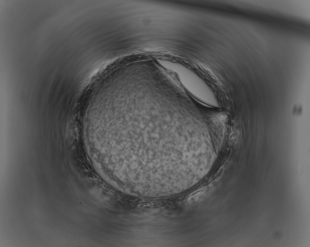 X0000090780776200708031714