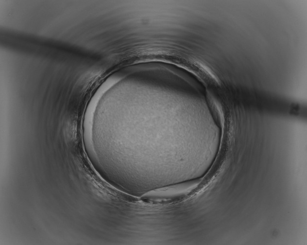 X0000090780777200708031714