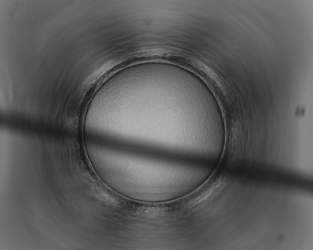 X0000090780778200708031714