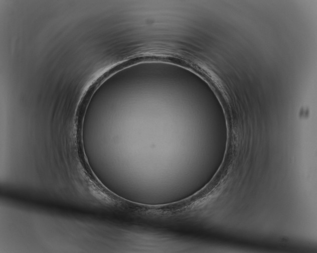 X0000090780779200708031714