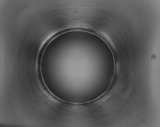 X0000090780780200708031714