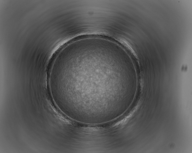 X0000090780781200708031714