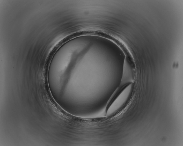 X0000090780783200708031714